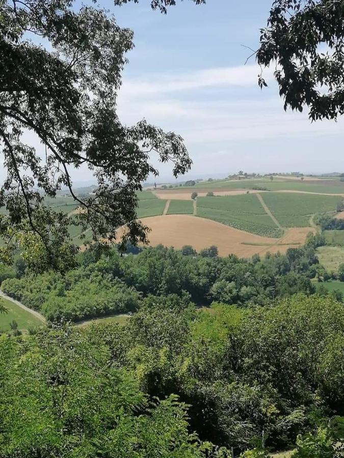 Olivola Apartments Frassinello Monferrato ภายนอก รูปภาพ