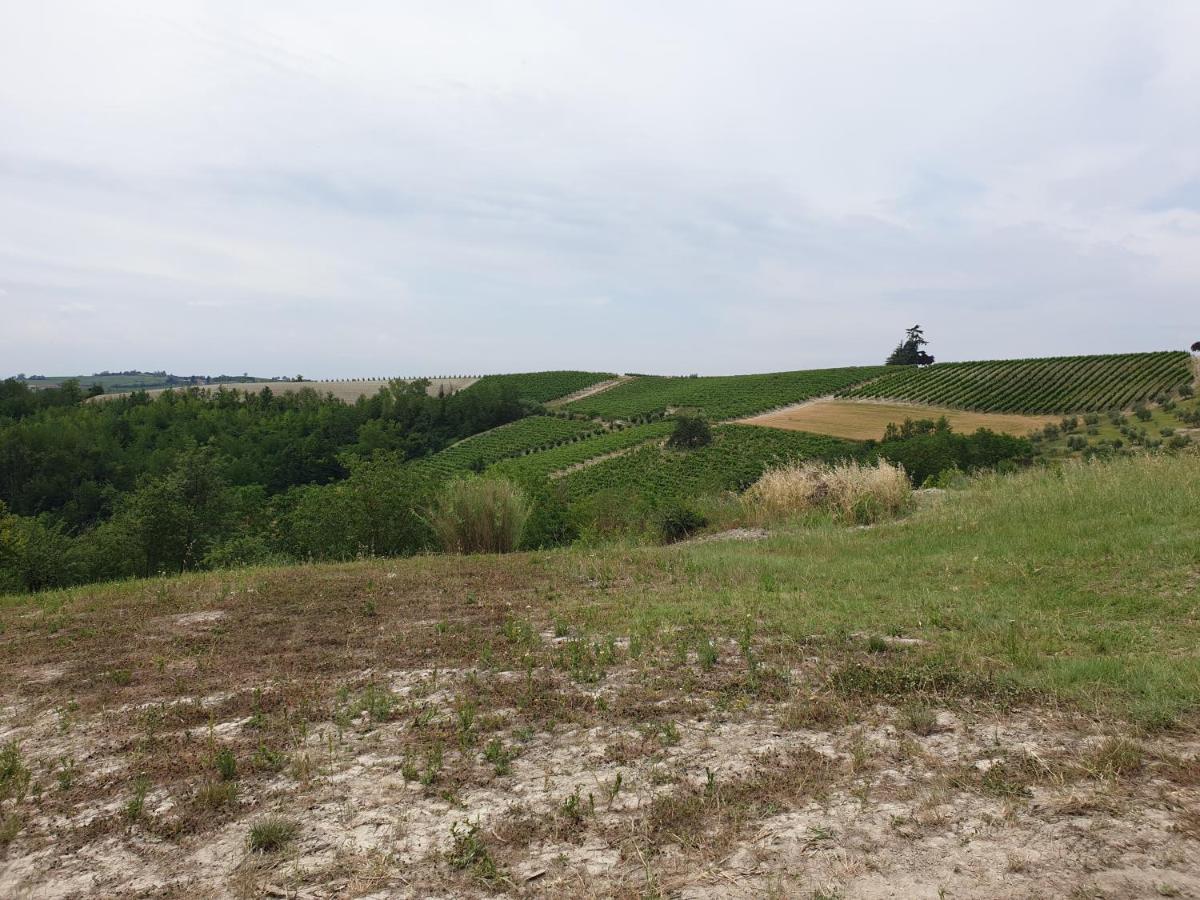 Olivola Apartments Frassinello Monferrato ภายนอก รูปภาพ